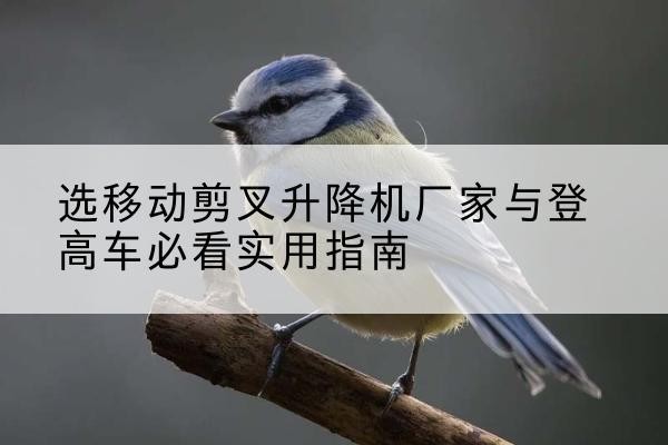 久治电动升降机厂家-选移动剪叉升降机厂家与登高车必看实用指南