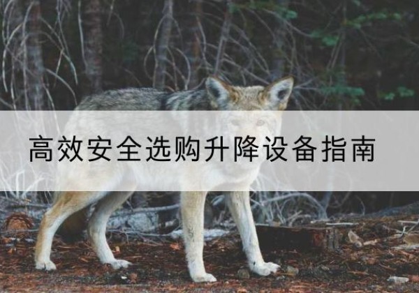 久治升降货梯厂家推荐-*安全选购升降设备指南