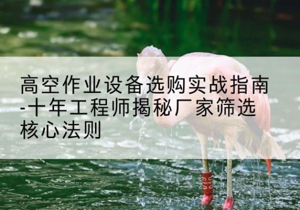 久治剪叉式升降机厂家-高空作业设备选购实战指南-十年工程师揭秘厂家筛选核心法则